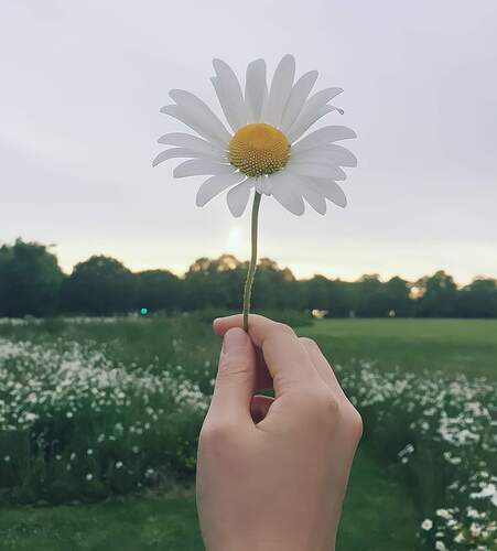 FB_IMG_1651111568297