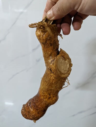 PXL_20221024_041722351