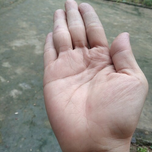 inbound8024352952917042518