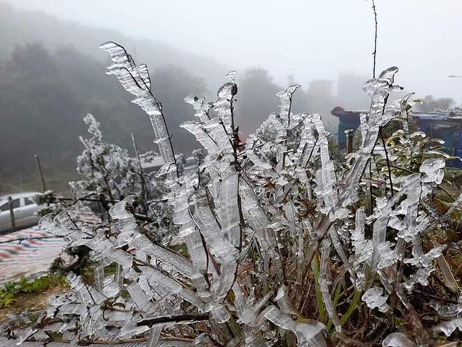 FB_IMG_1645362287773