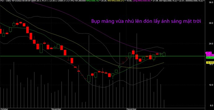 PET Bụp măng vừa nhú lên