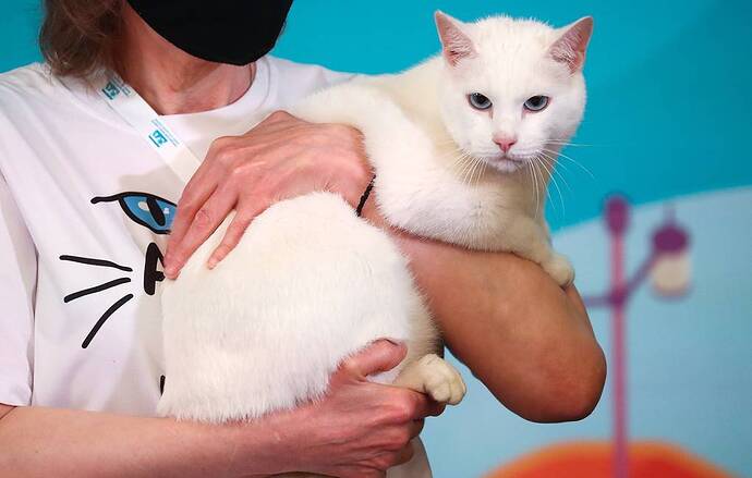 Achilles Peter Kovalev / TASS