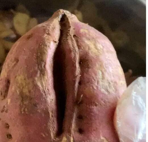 FB_IMG_1661611287480