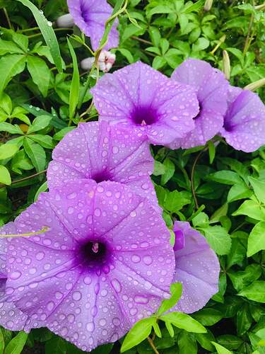 FB_IMG_1652961150620