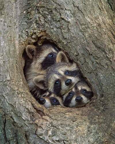 FB_IMG_1652455824297