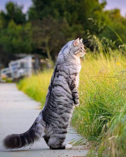 FB_IMG_1640260735467