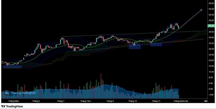 Screenshot_20211129-182440_Gallery