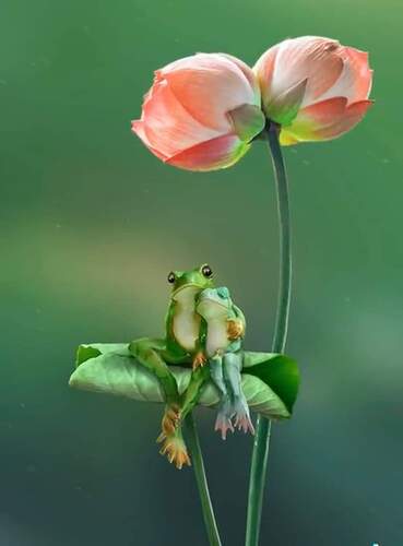 FB_IMG_1645852355253