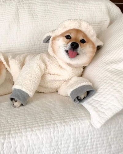 670f45890282dc78cb8016a09277fa1a