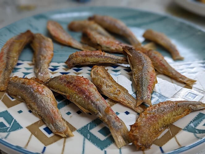 PXL_20221221_131638582.PORTRAIT