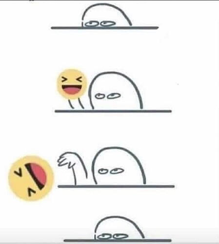 e8322c9d7f1e4c2b00b7c25ead9c416b97e22a1c_2_898x1000