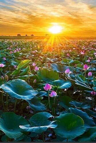 FB_IMG_1649826643841