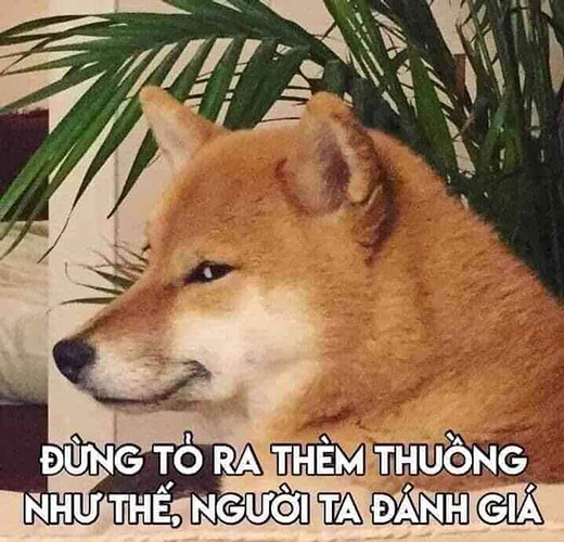 dc4ff5d3ec6442cd5b4d4db5a5e69a65dung-to-ra-them-thuong-nhu-the-nguoi-ta-danh-gia