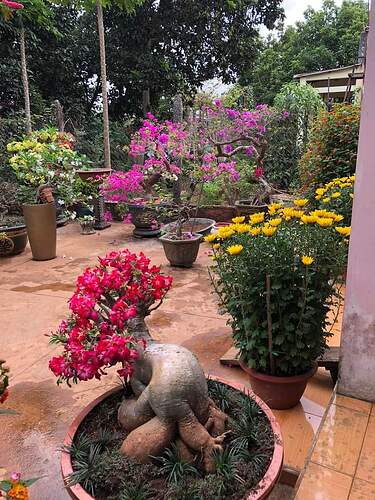 FB_IMG_1643551024297