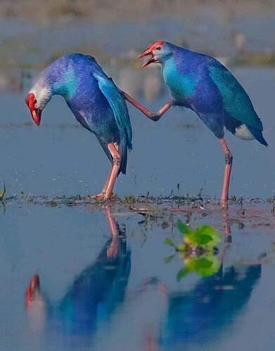 FB_IMG_1632981681866