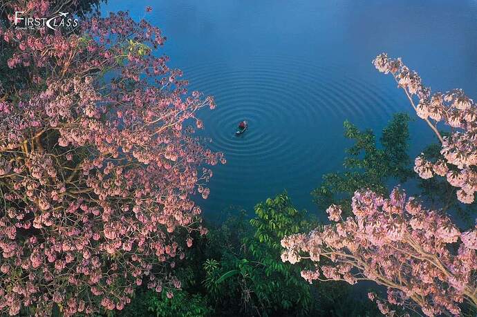 FB_IMG_1652863639866