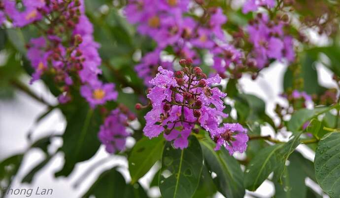 FB_IMG_1648684987574