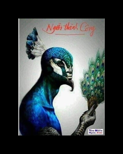 Screenshot_20220801-130652_Gallery