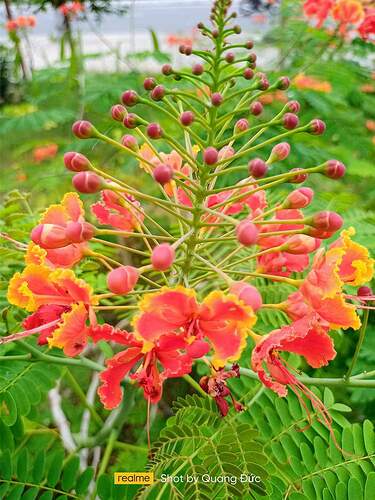 FB_IMG_1648802856712