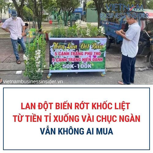 FB_IMG_1664171375426