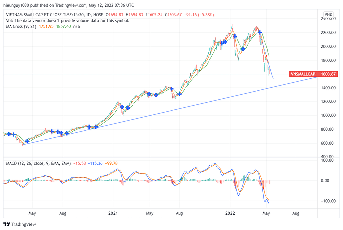 VNSMALLCAP_2022-05-12_14-36-54