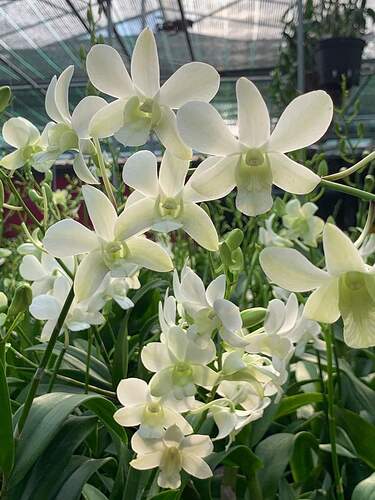 FB_IMG_1652181849957