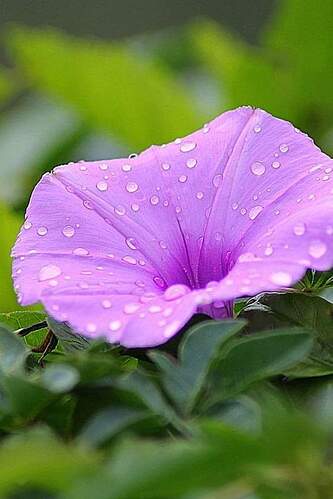 FB_IMG_1652586147393