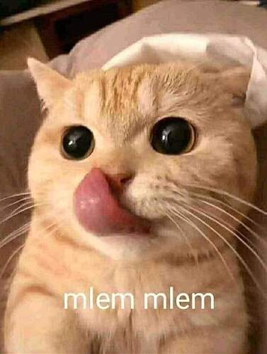 FB_IMG_1660980515333