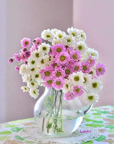 FB_IMG_1639907231460