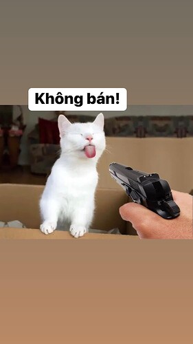 449216909_1004944800987547_8656027036661451031_n