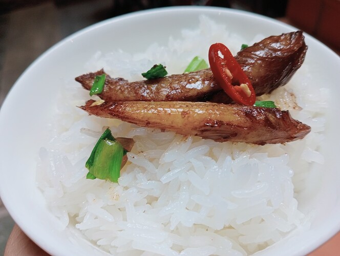 inbound4828277427347471855