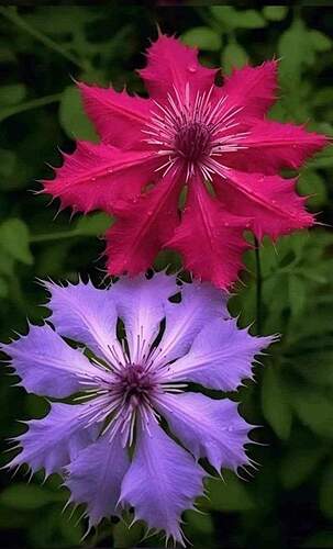 FB_IMG_1705367581554