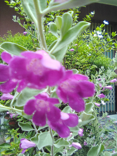 IMG_20230828_163408_550