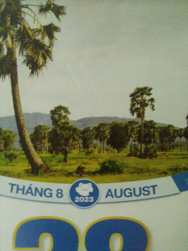 IMG_20230828_084313_207