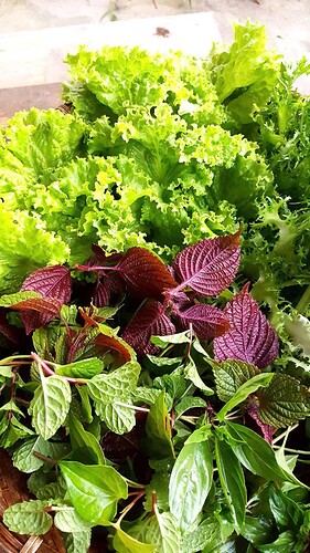 FB_IMG_1741884261812