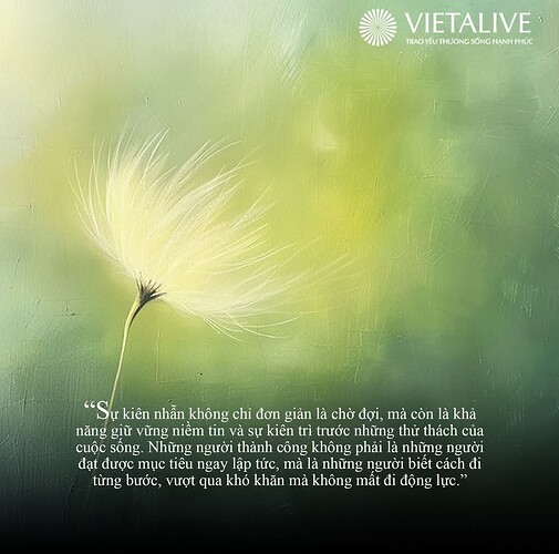 FB_IMG_1741454396982