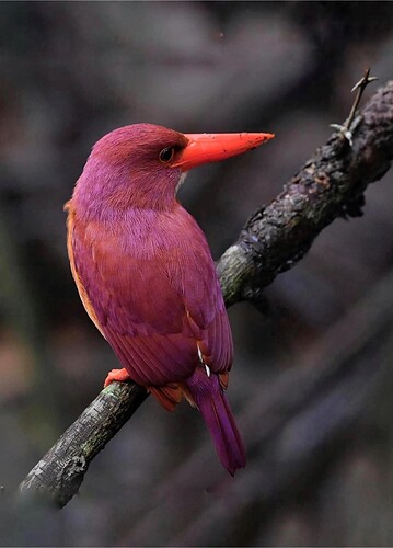 FB_IMG_1757980179947