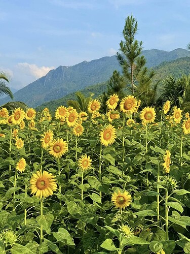 FB_IMG_1744201087896