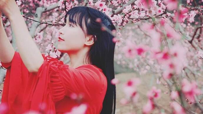 FB_IMG_1732378954859