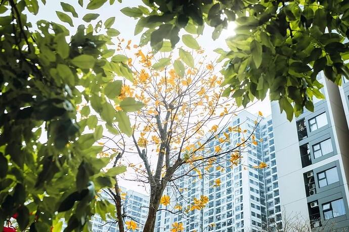 Mua nhà Hà Nội 'khó chồng khó': Căn hộ giá dưới 2 tỷ gần như 'tuyệt chủng', giá nhà chủ yếu trên 4 tỷ đồng