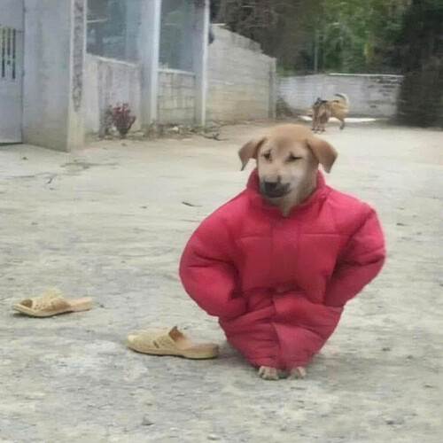 z5974438924980_f9e53900455e694961045f42e5c114d6