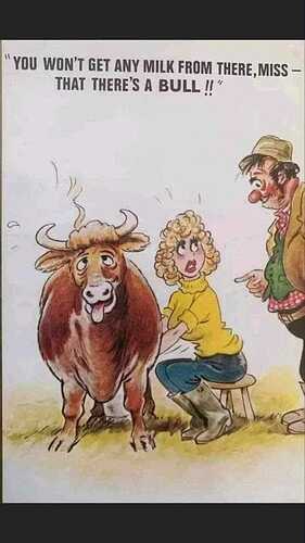 bullmilk
