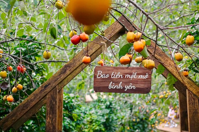 FB_IMG_1757078377324