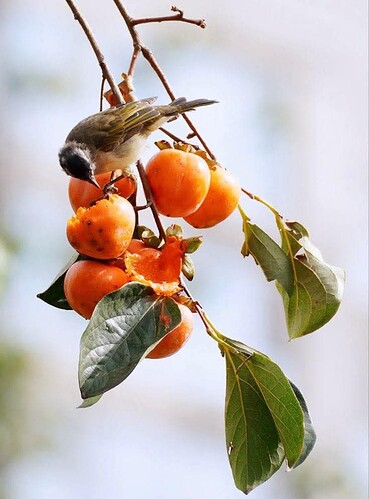 FB_IMG_1759506137395