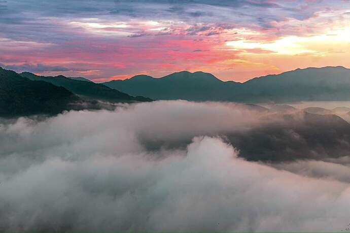 FB_IMG_1731039064838