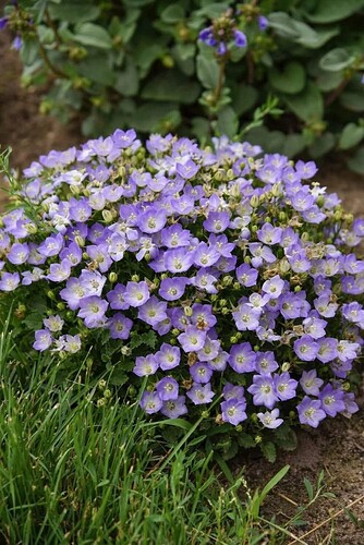 FB_IMG_1755700273148