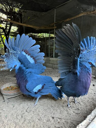 FB_IMG_1739765662102