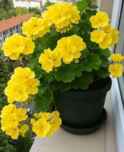 FB_IMG_1755355208136