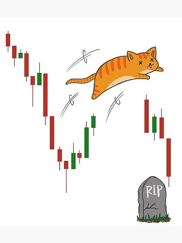 FB_IMG_1741653758061