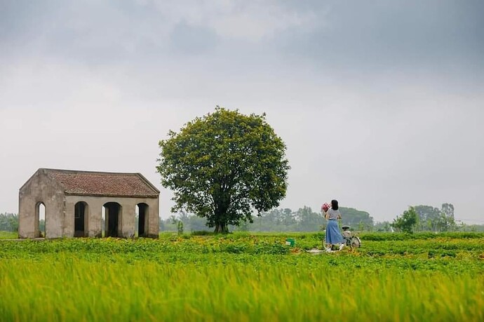 z5435001518100_cdd53d7f6c91f804a7ce2e6ff9fdfad6